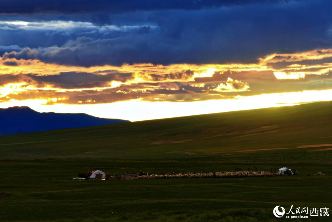 黃昏下的帳篷，牧民過著幸福生活。 人民網(wǎng) 李海霞攝