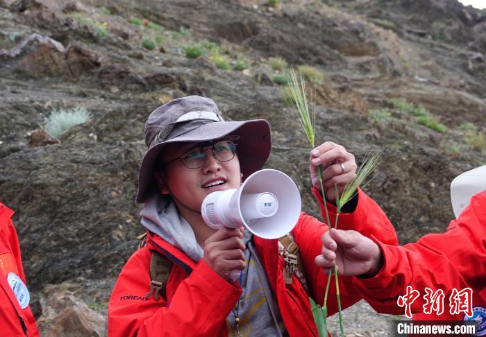 青藏科考：青稞如何走上青藏高原？