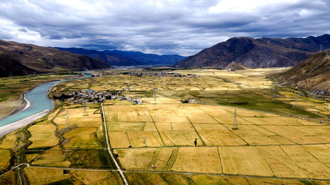 等待豐收的田野。洛克攝