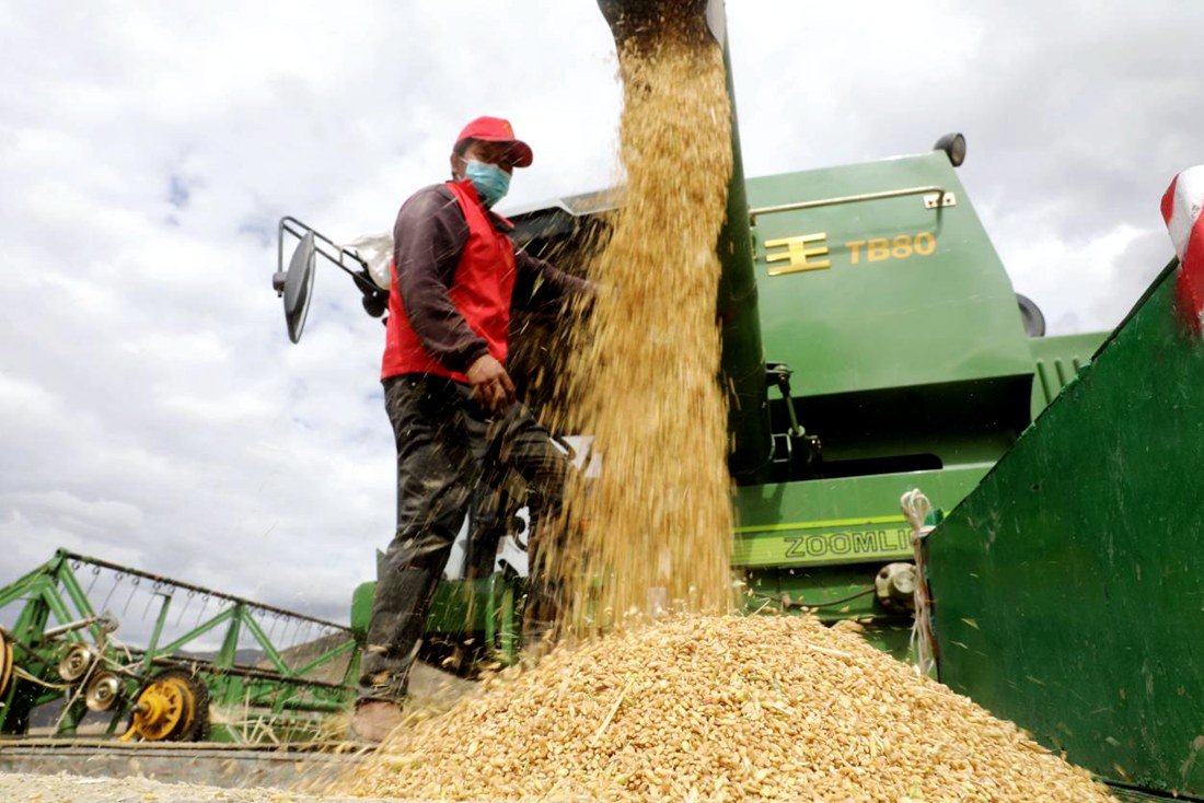 顆粒歸倉(cāng)。洛克攝