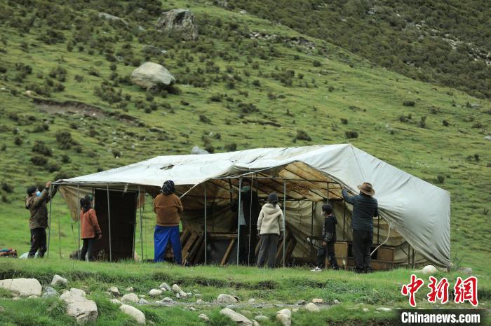 圖為牧民們?cè)谇锛灸翀?chǎng)搭建帳篷?！÷蹇?攝