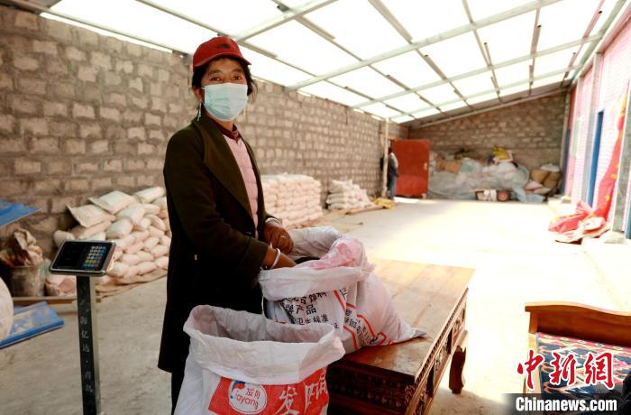 圖為寧重崗村村民扎西才措把自家的油菜籽送到合作社銷售?！〖卫杩h融媒體中心供圖