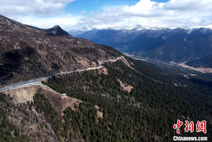 2月17日，西藏林芝魯朗林海。(無(wú)人機(jī)照片) 李林 攝