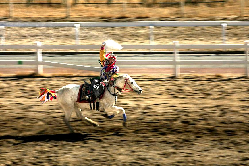 藏歷新年，精彩的馬術(shù)表演。張靜攝