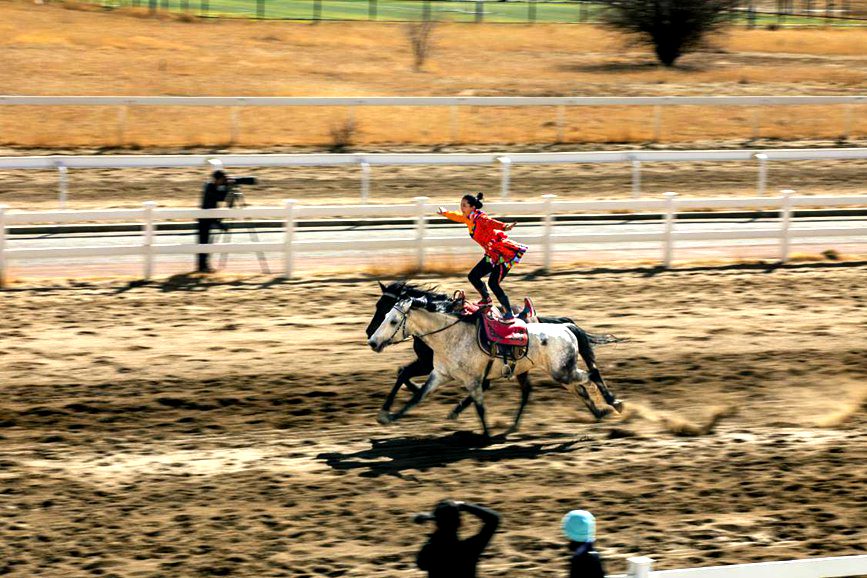 藏歷新年，精彩的馬術(shù)表演。張靜攝