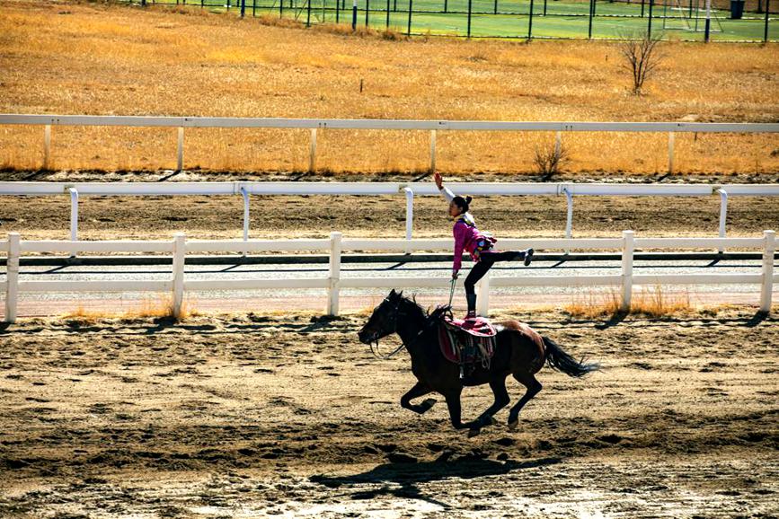 藏歷新年，精彩的馬術(shù)表演。張靜攝