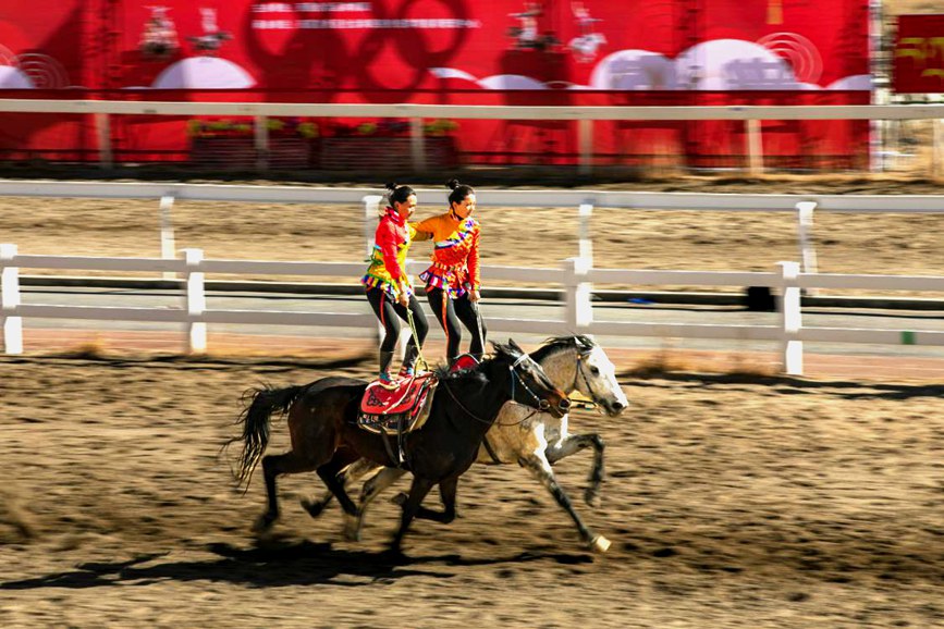 藏歷新年，精彩的馬術(shù)表演。張靜攝