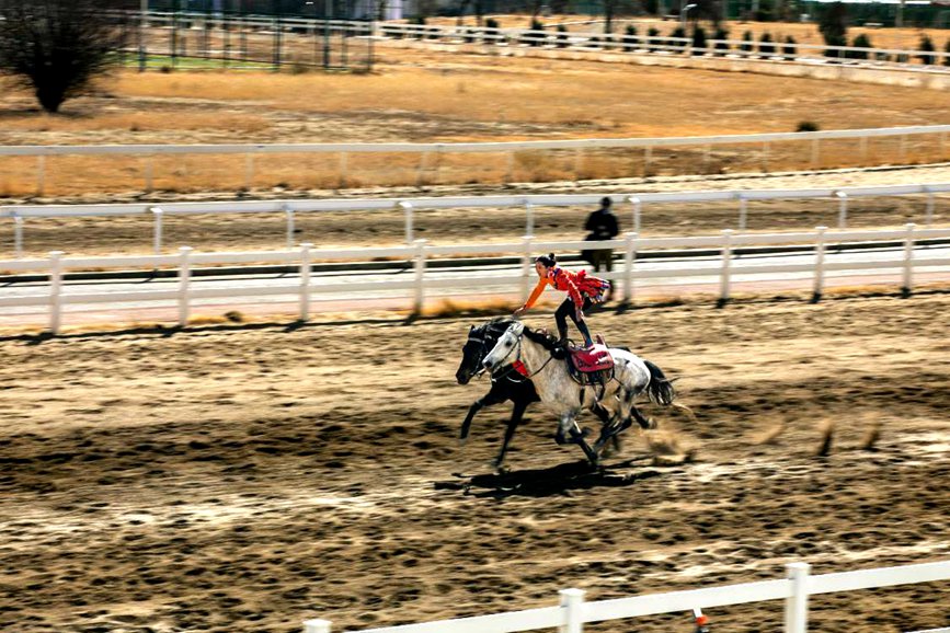 藏歷新年，精彩的馬術(shù)表演。張靜攝