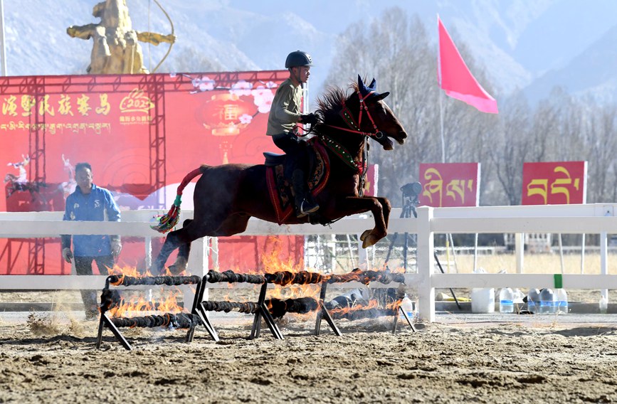 藏歷新年，精彩的馬術(shù)表演。潘多攝