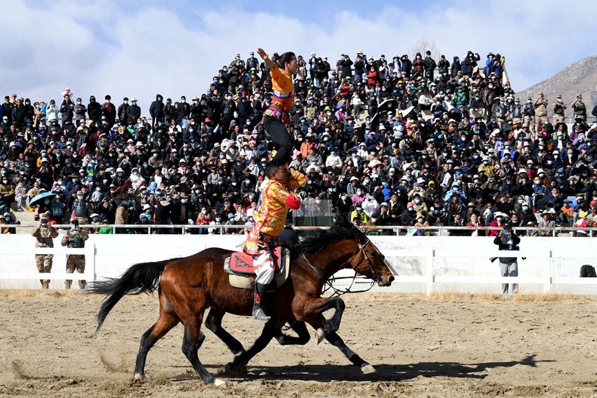 藏歷新年，精彩的馬術(shù)表演。潘多攝