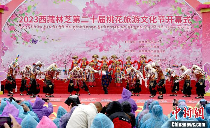 3月28日，西藏林芝第二十屆桃花旅游文化節(jié)開幕式上的文藝表演。　李林 攝