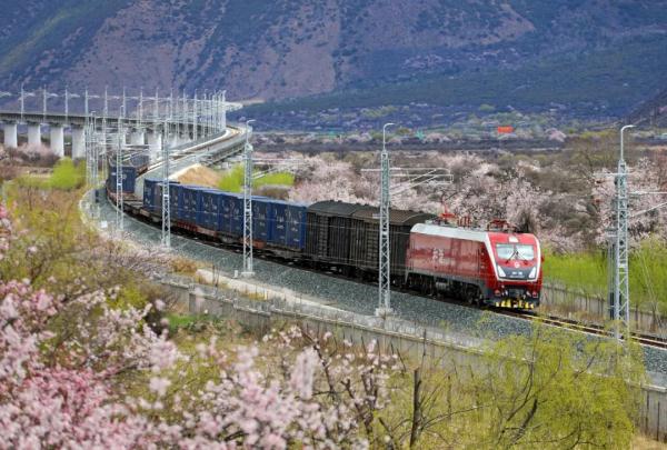 人間桃花源！林芝桃花有多絕？