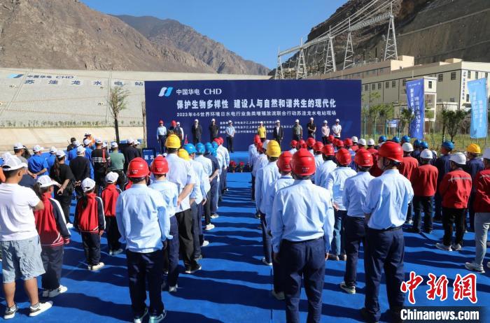 圖為蘇洼龍水電站魚類放流現(xiàn)場?！√K洼龍水電站供圖