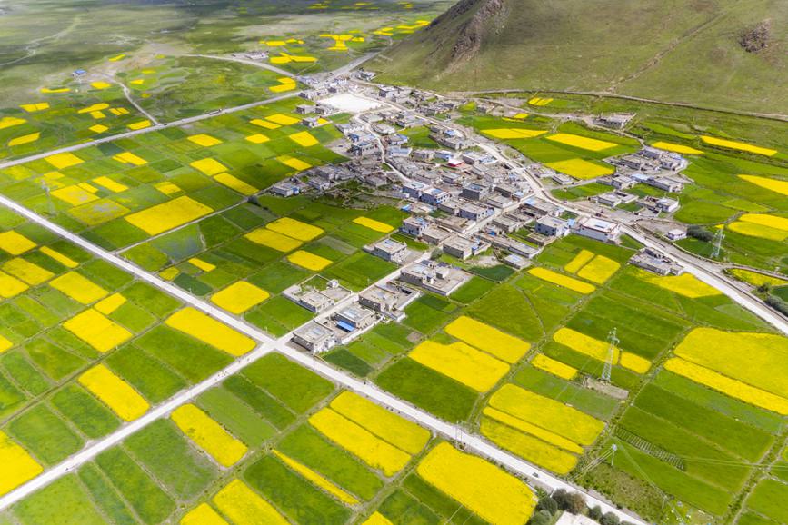 航拍道布龍村，依山傍水，阡陌縱橫。