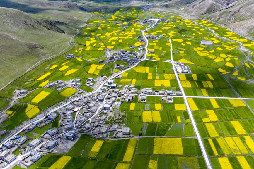 航拍道布龍村，依山傍水，阡陌縱橫。