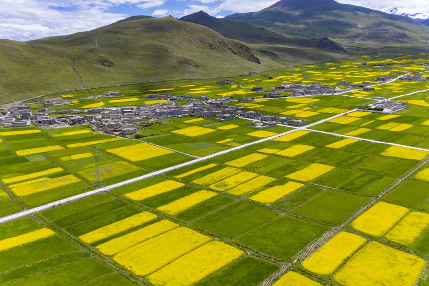 航拍道布龍村，依山傍水，阡陌縱橫。