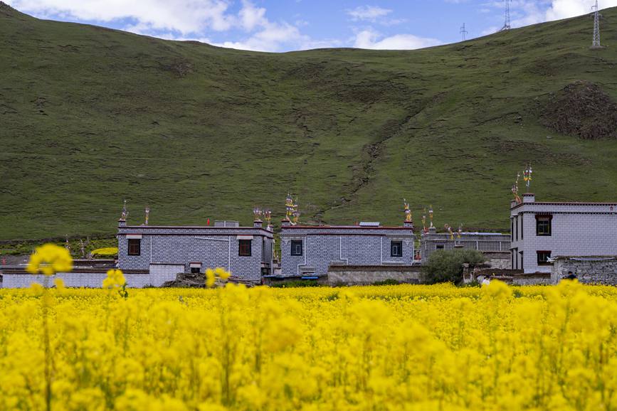 環(huán)境優(yōu)美的道布龍村一角。