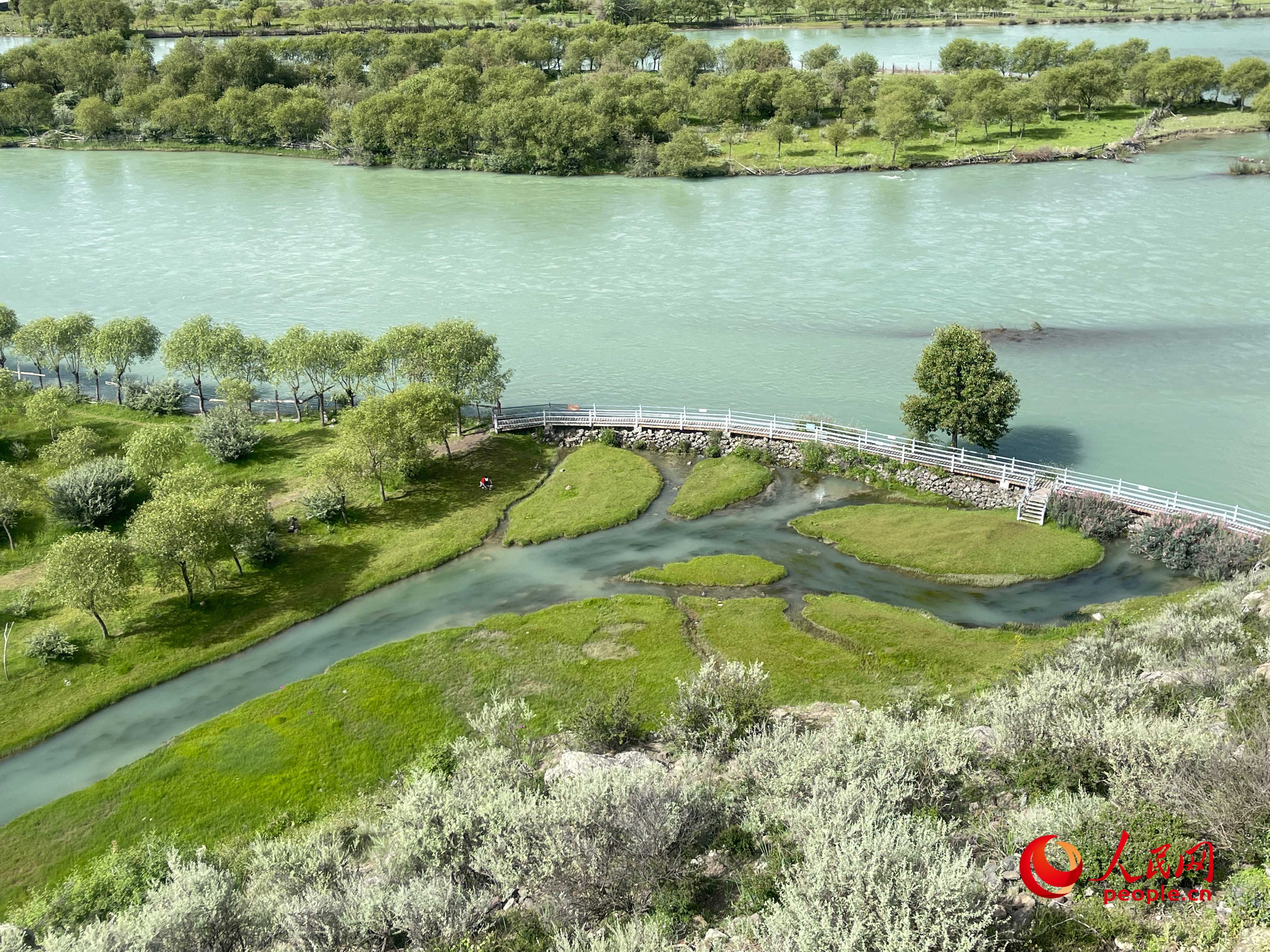 夏日的雅尼國(guó)家濕地公園生機(jī)盎然，如詩(shī)如畫(huà)。人民網(wǎng) 周靜圓攝