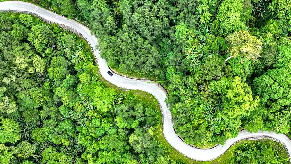 穿行于綠色間，生態(tài)優(yōu)良。張澤坤攝