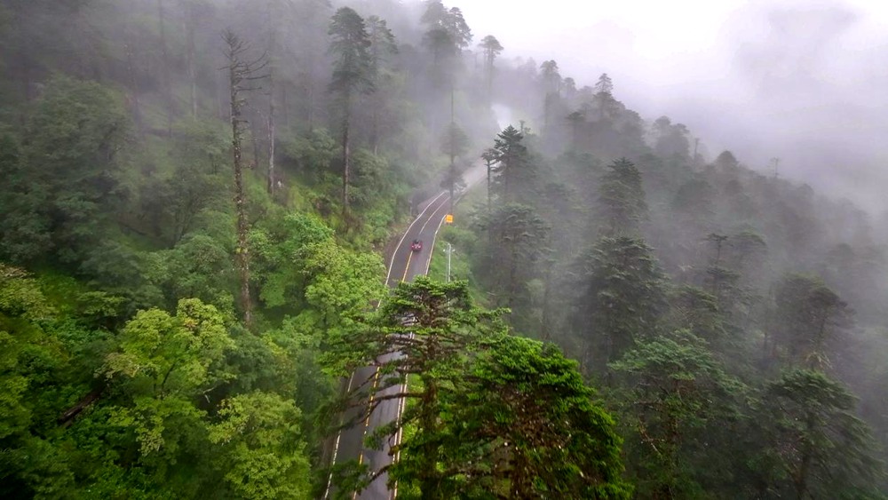穿行于綠色間。張澤坤攝