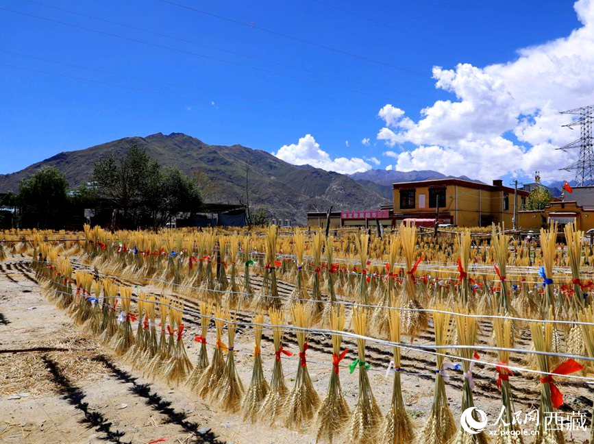 幸福生活曬出來。人民網(wǎng) 李海霞攝