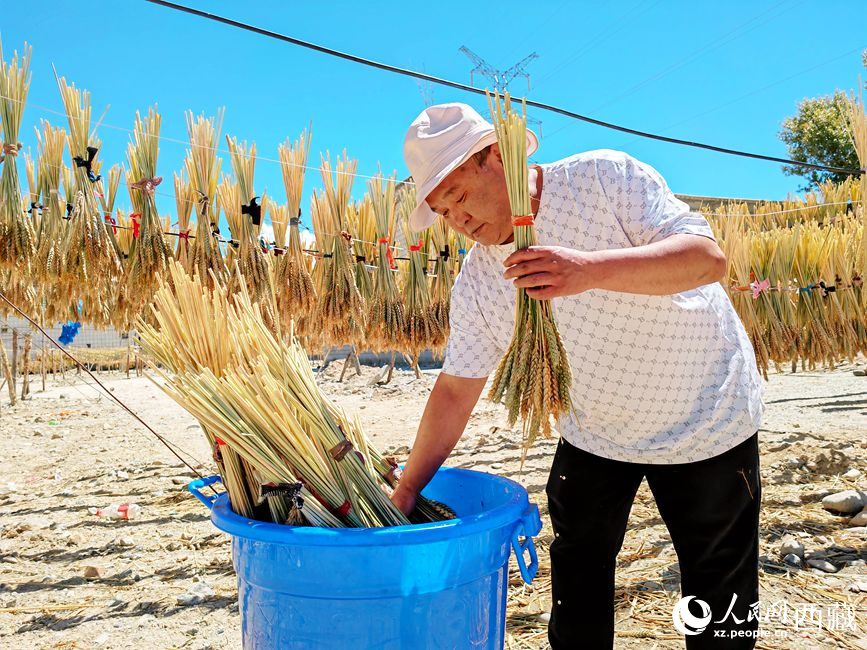 幸福生活曬出來。人民網(wǎng) 李海霞攝