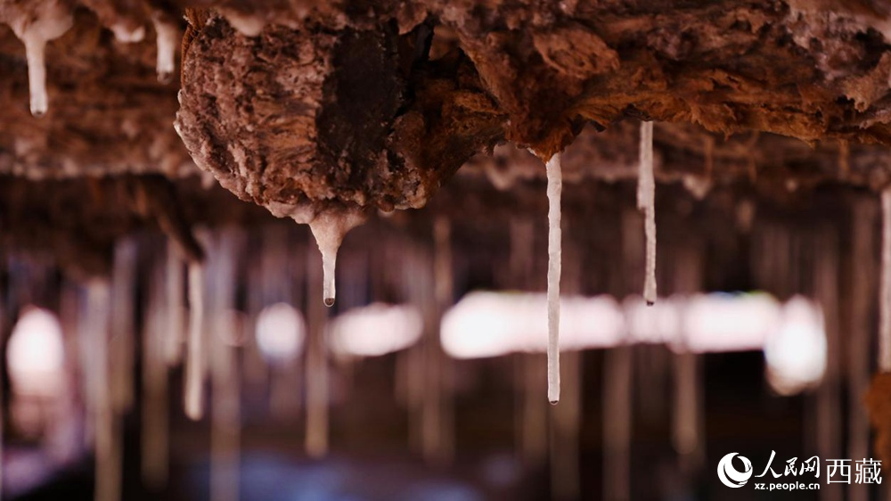 自然滲下的鹽柱結(jié)晶。人民網(wǎng)記者 次仁羅布攝