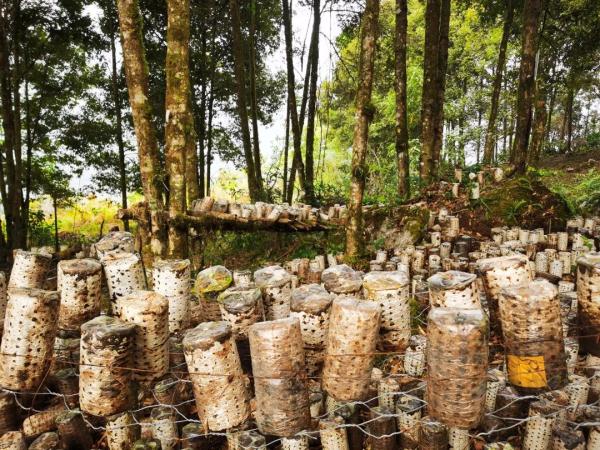 幾代建設者，歷經(jīng)半個多世紀完成！這是一條怎樣的公路？