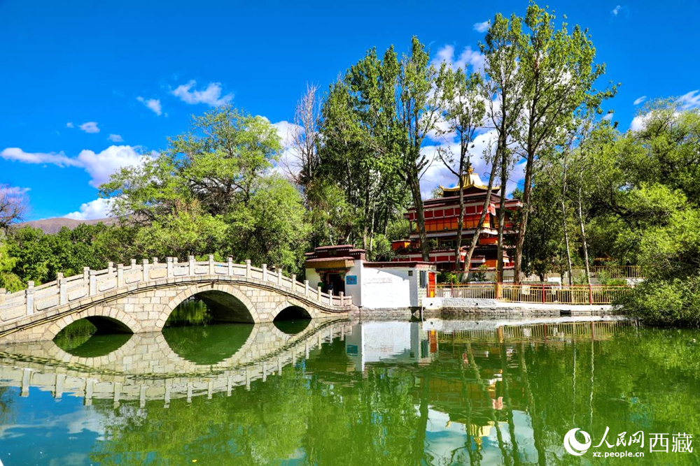 公園內綠意盎然。