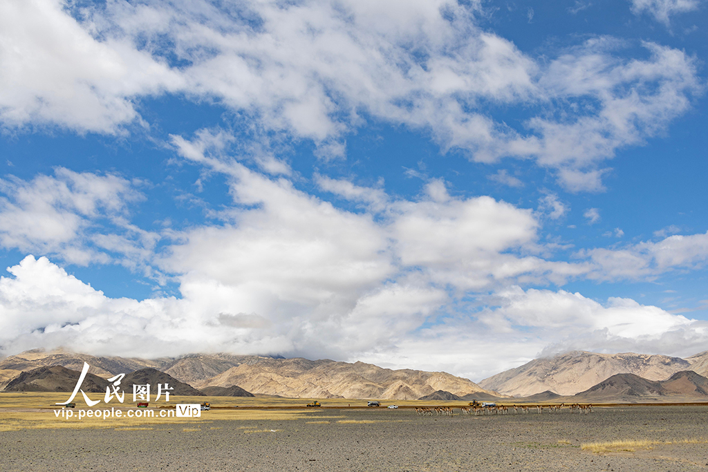 西藏阿里:高原公路建設忙【9】