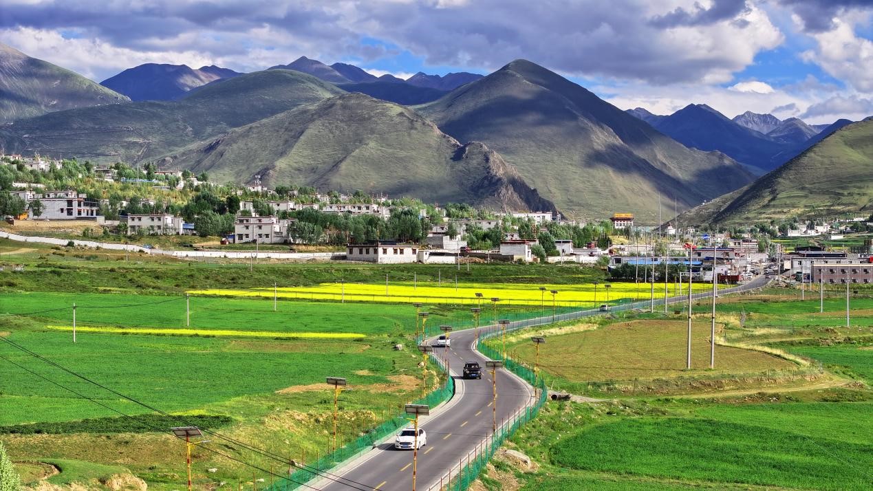 油菜花開“金”滿地。墨竹工卡縣委宣傳部 洛克攝