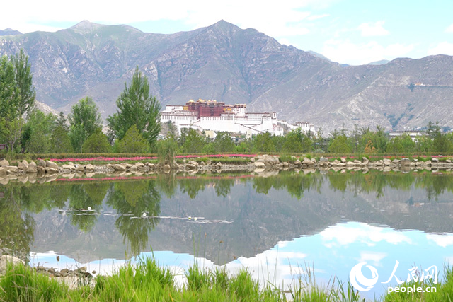 雄偉的布達拉宮與綠意蔥蘢的南山隔河相望。人民網(wǎng)記者 劉凡攝