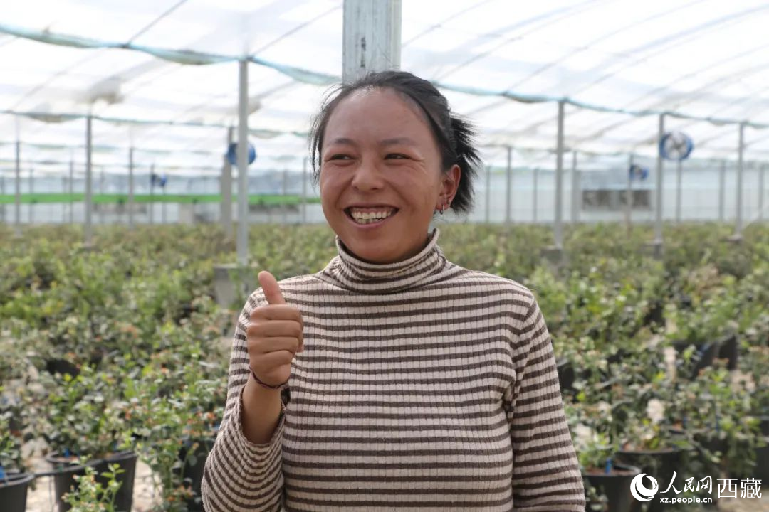 措姆品嘗自己精心照料的藍莓后，豎起了大拇指。次仁龍布攝