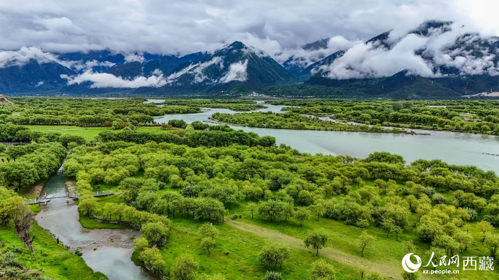 鳥瞰盛夏季節(jié)的雅尼濕地風(fēng)光。人民網(wǎng)記者 次仁羅布攝
