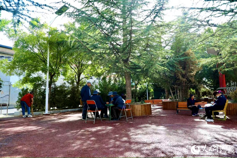 老人們?cè)诰G樹(shù)成蔭的“社區(qū)會(huì)客廳”中對(duì)弈休憩。人民網(wǎng)記者 次仁羅布攝