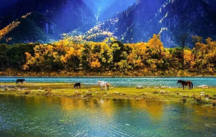 懂西藏的人，一定不會(huì)錯(cuò)過林芝的秋天