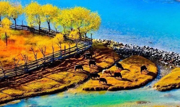 懂西藏的人，一定不會(huì)錯(cuò)過林芝的秋天