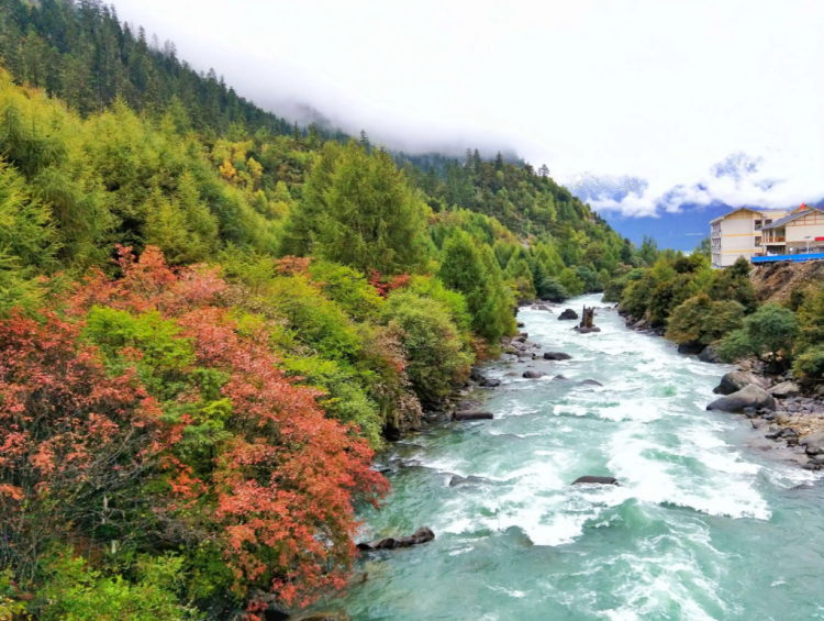 懂西藏的人，一定不會(huì)錯(cuò)過林芝的秋天