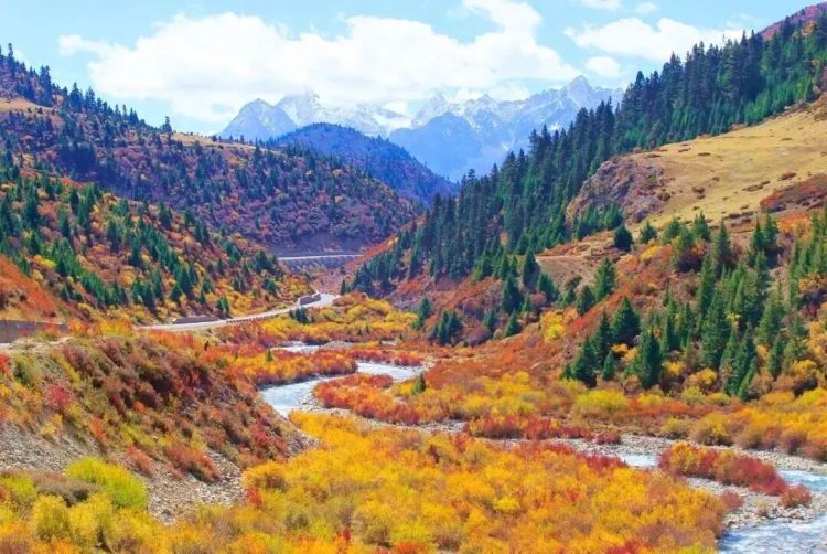 懂西藏的人，一定不會(huì)錯(cuò)過林芝的秋天