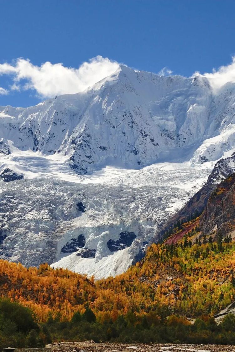 懂西藏的人，一定不會(huì)錯(cuò)過林芝的秋天