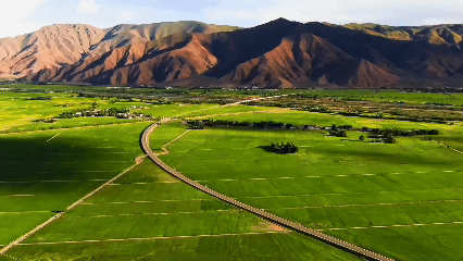 青稞“蛻變”，牦?！俺鋈Α?！看西藏農(nóng)牧民的“十四五”豐收答卷