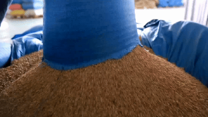 青稞“蛻變”，牦牛“出圈”！看西藏農(nóng)牧民的“十四五”豐收答卷