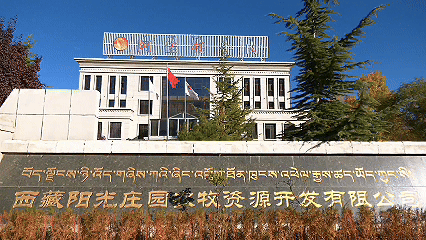 青稞“蛻變”，牦?！俺鋈Α?！看西藏農(nóng)牧民的“十四五”豐收答卷