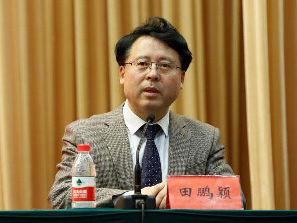 田鵬穎：投入其中、樂在其中、安身其中