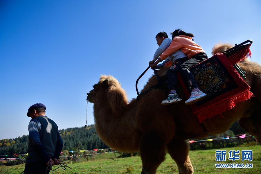 （全面建成小康社會“百城千縣萬村調(diào)研行”·圖文互動）（7）青?？柎澹骸肮夤鞔濉钡娜A麗轉(zhuǎn)身