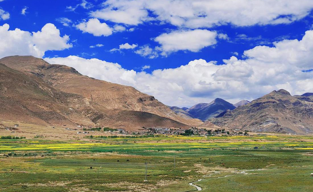 羌塘草原上的美好圖景。人民網(wǎng) 李海霞攝