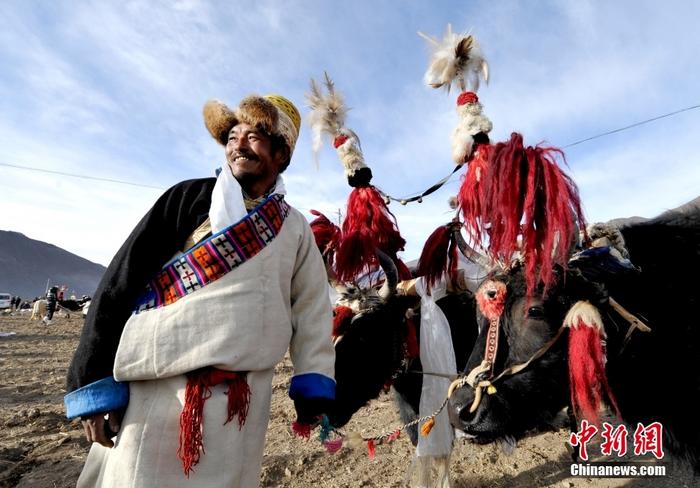 資料圖為2013年3月16日，拉薩市堆龍德慶區(qū)德慶村的農(nóng)民牽著牦牛參加春耕儀式，按照傳統(tǒng)方式由牦牛開(kāi)第一犁。 <a target='_blank' href='/'><p  align=