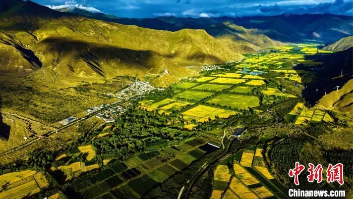 圖為山南雍布拉康附近農(nóng)田?！埼?攝